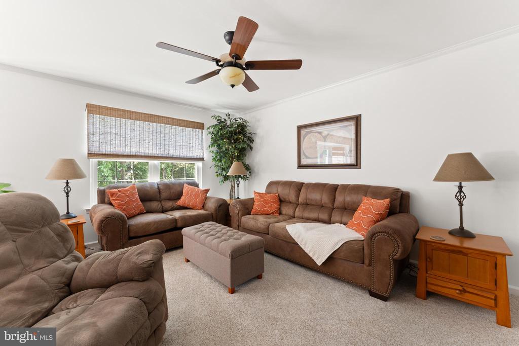 4104 AMELIA DRIVE