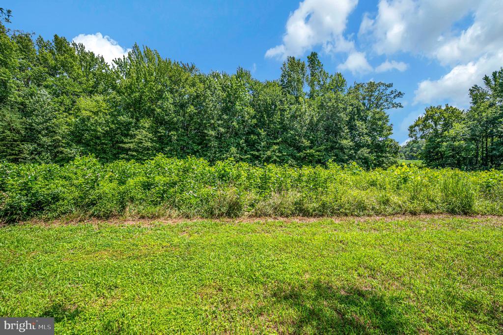 3401 SHIRLEYS HILL ROAD