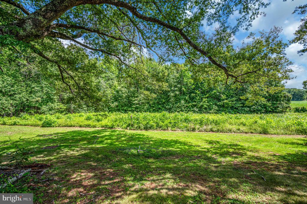 3401 SHIRLEYS HILL ROAD