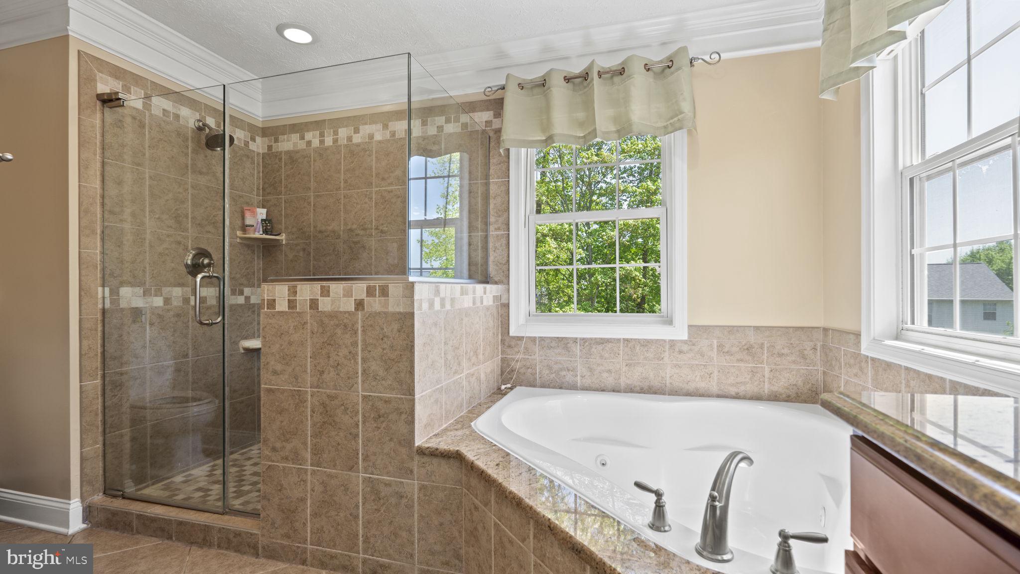 12 SAINT ANTHONYS COURT