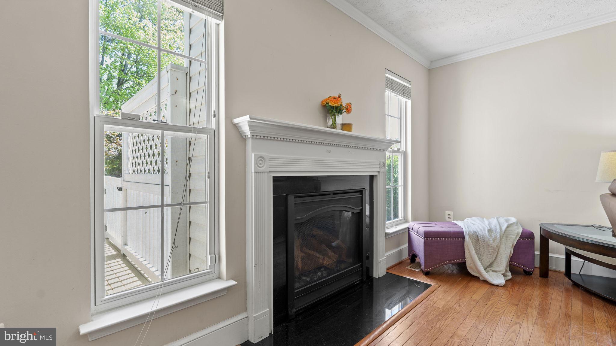 12 SAINT ANTHONYS COURT
