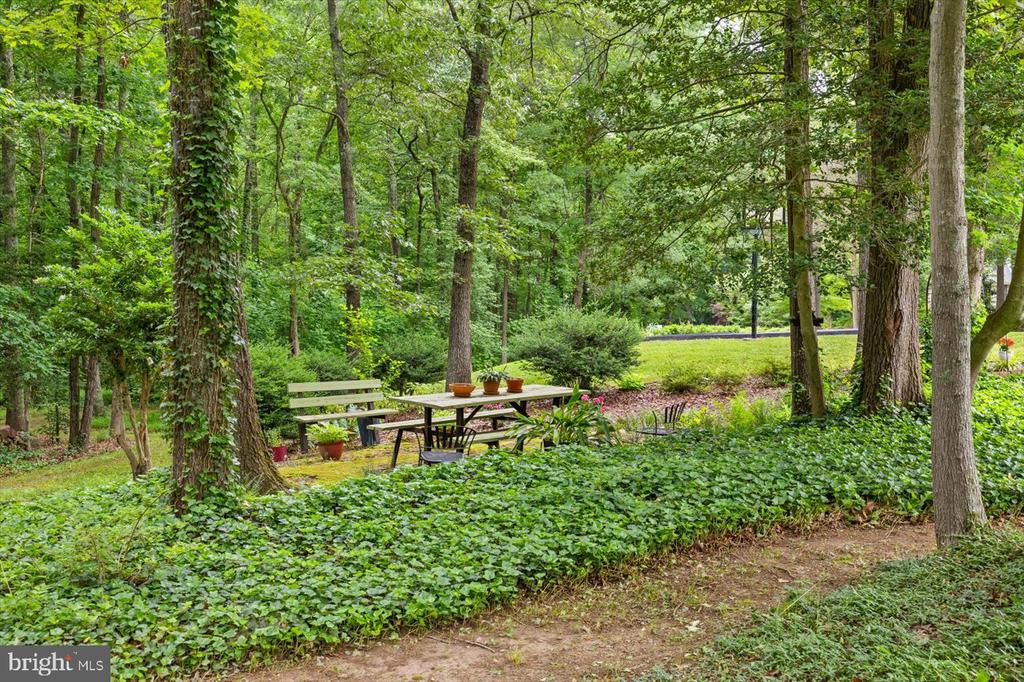 228 DOGWOOD DRIVE