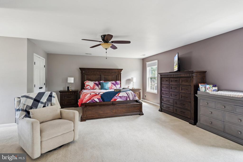 16 SASSAFRAS LANE