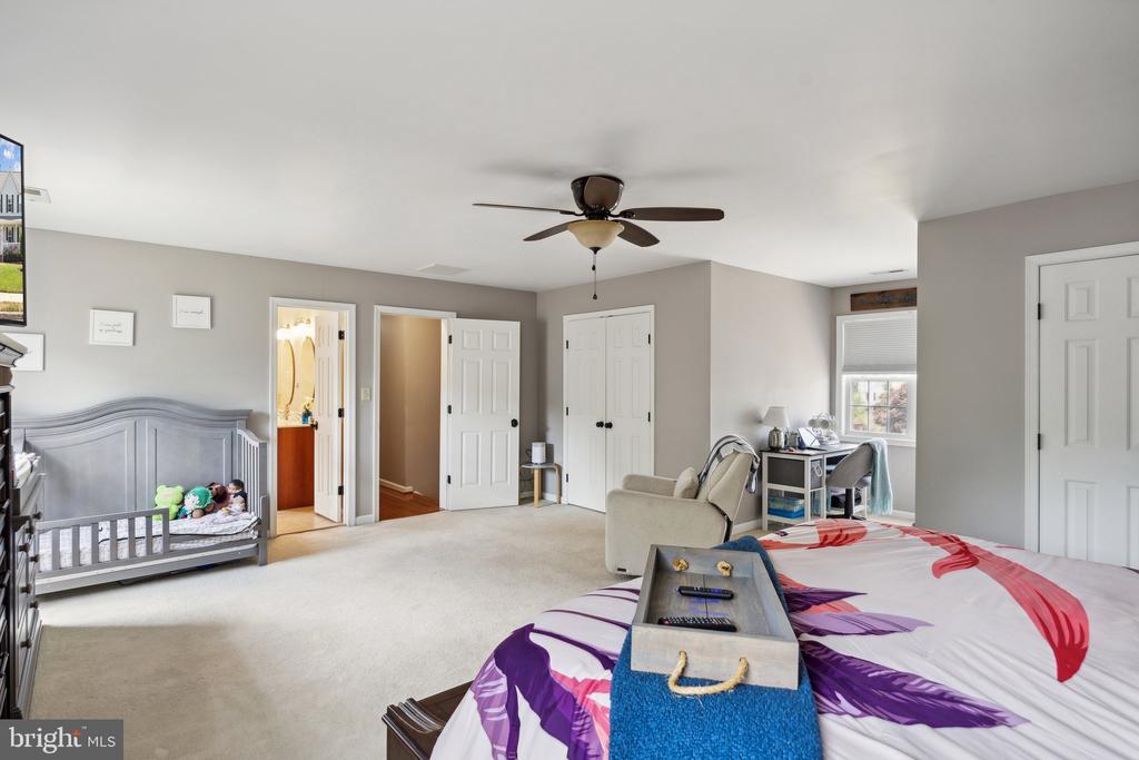 16 SASSAFRAS LANE