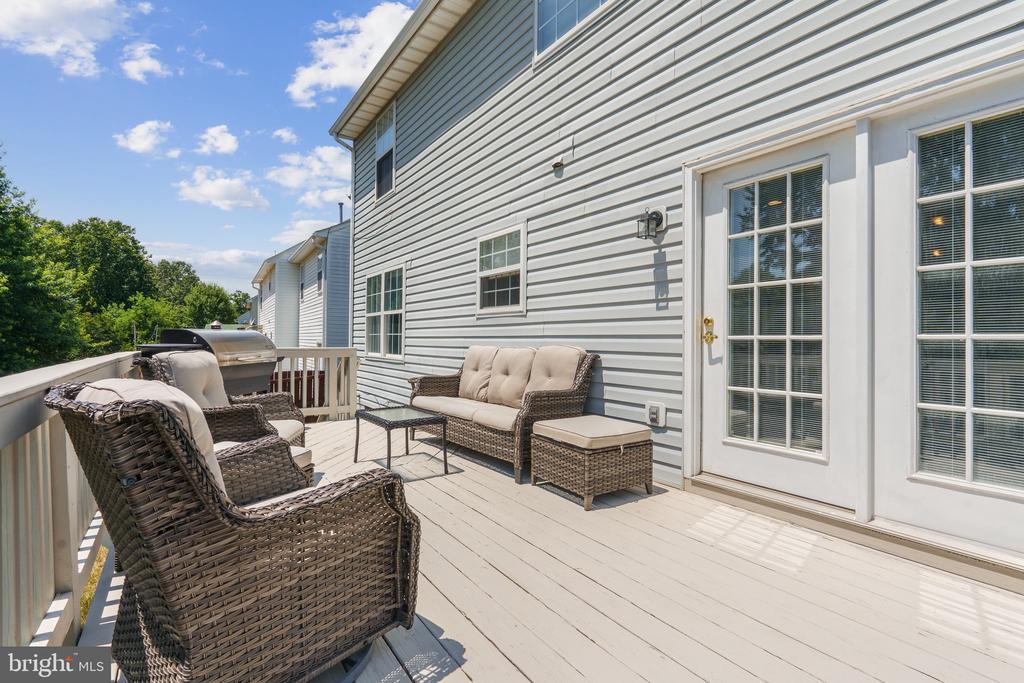 16 SASSAFRAS LANE