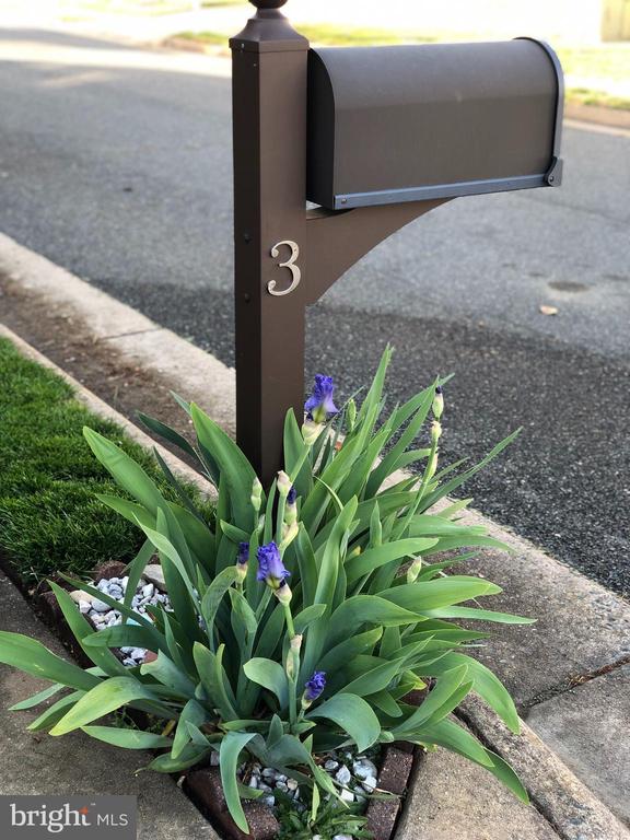 3 COUNTRY COURT
