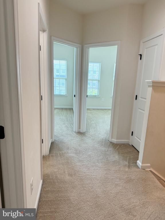 116 SWEETGUM COURT