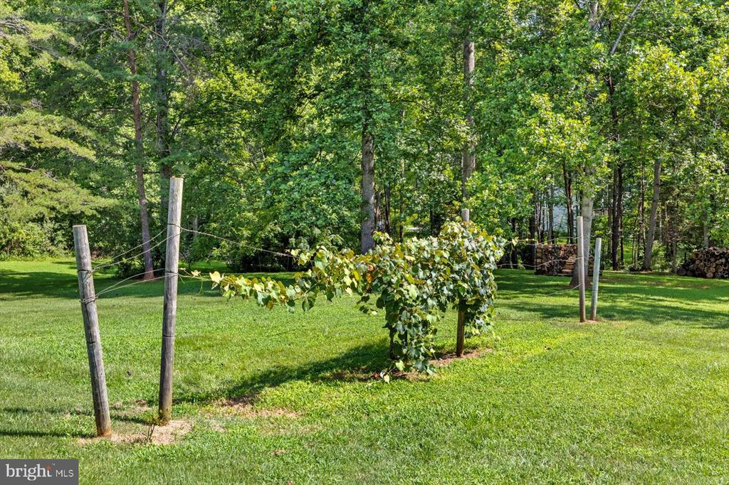 108 TACKETTS MILL ROAD