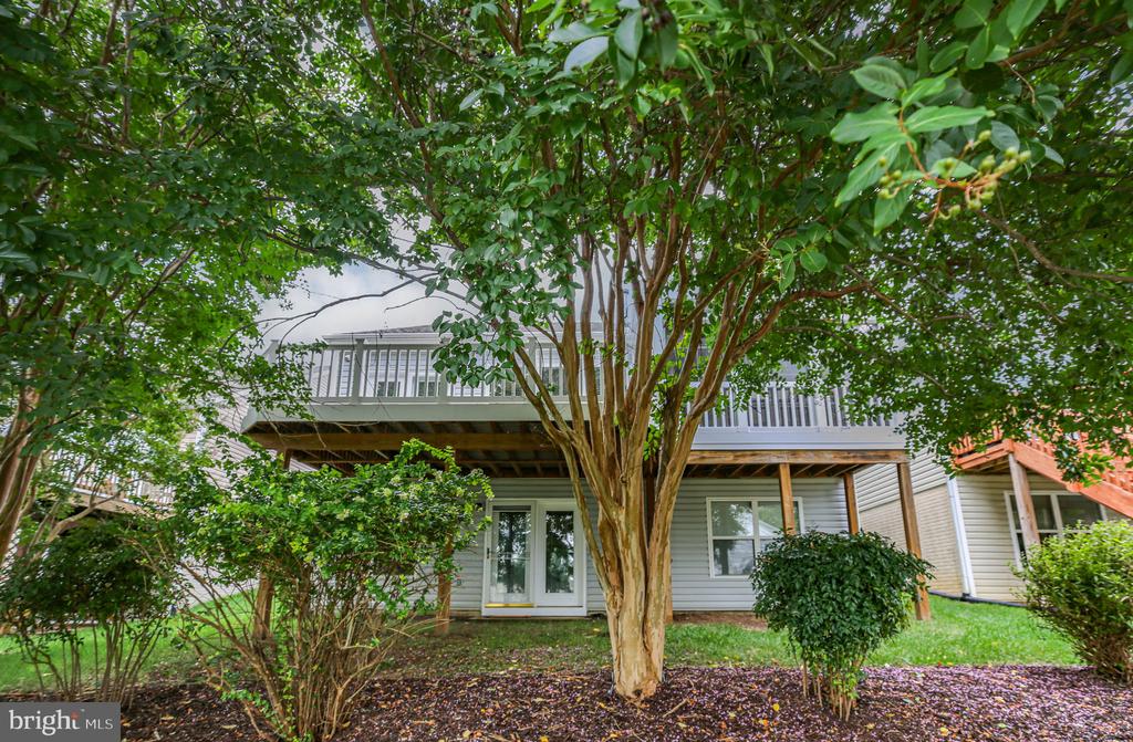 5 BLUEFIELD LANE
