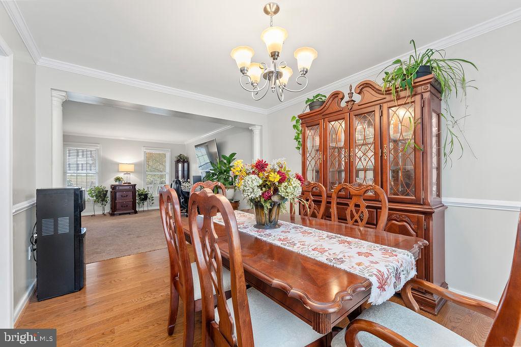 41 DAWSON DRIVE