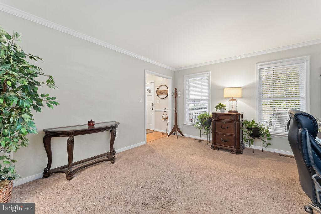 41 DAWSON DRIVE