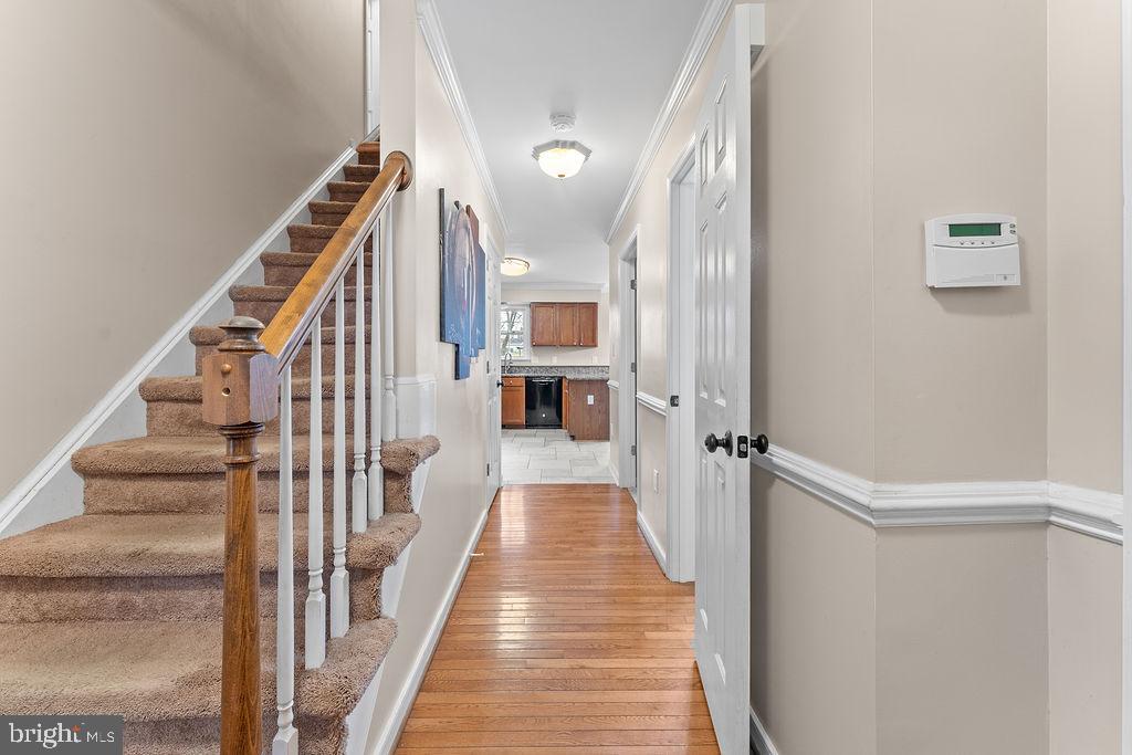 41 DAWSON DRIVE