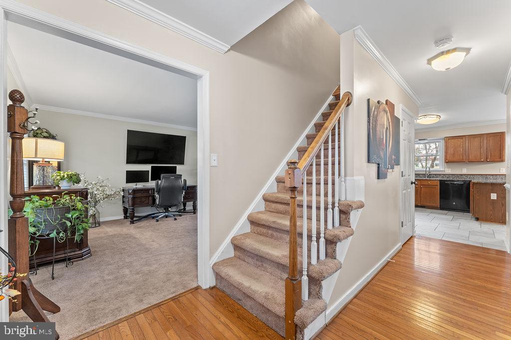 41 DAWSON DRIVE