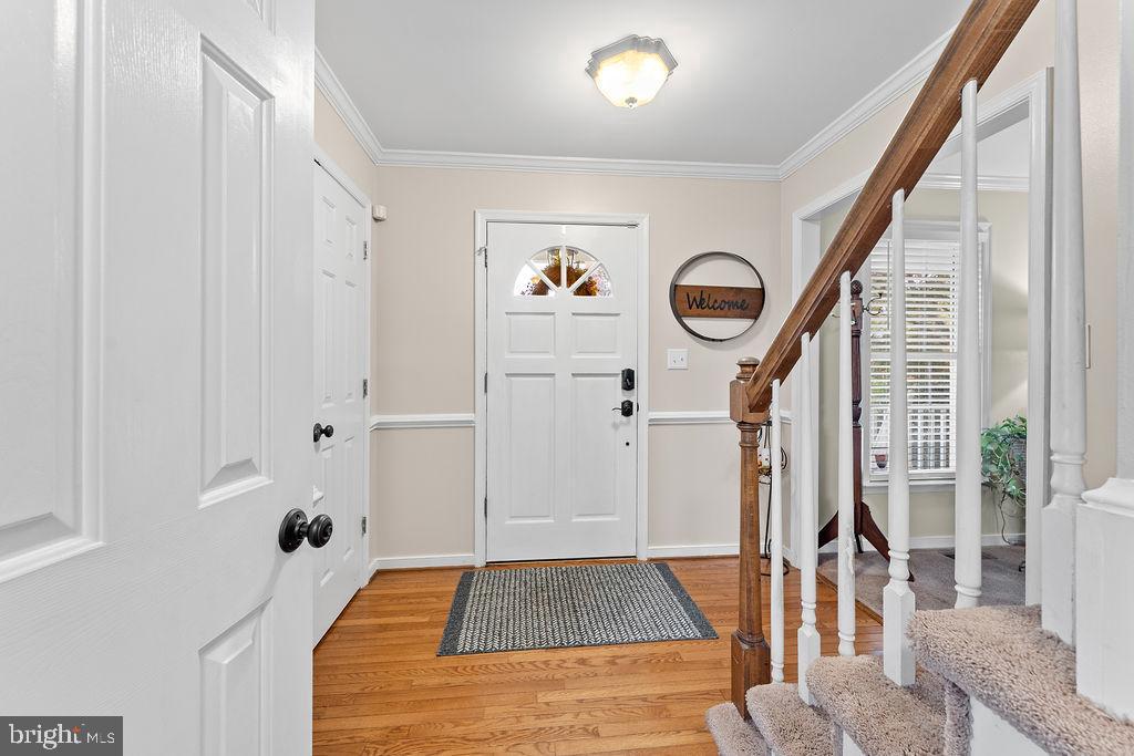 41 DAWSON DRIVE