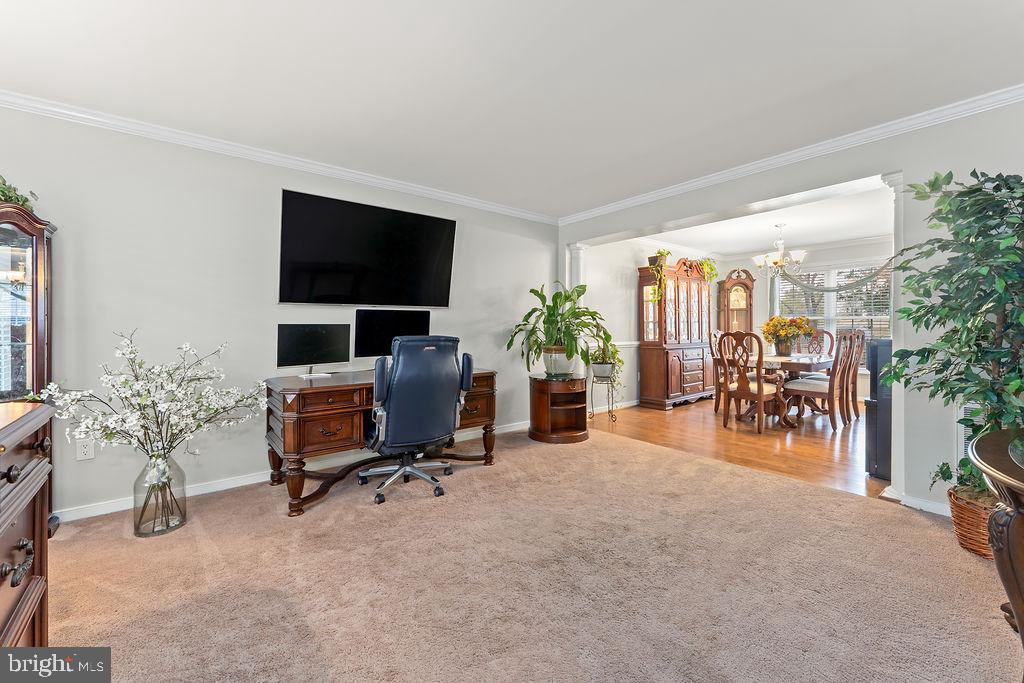 41 DAWSON DRIVE