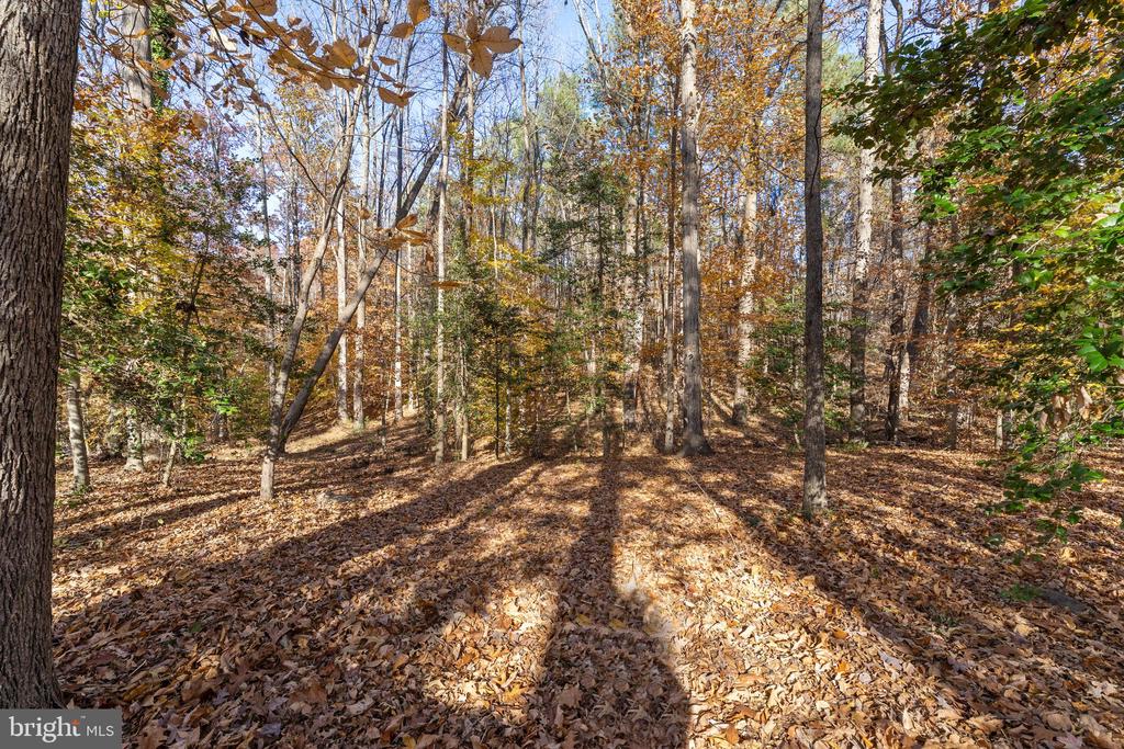 213 SLEEPY HOLLOW TRL