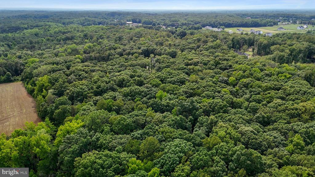80 SHACKELFORD WELL ROAD