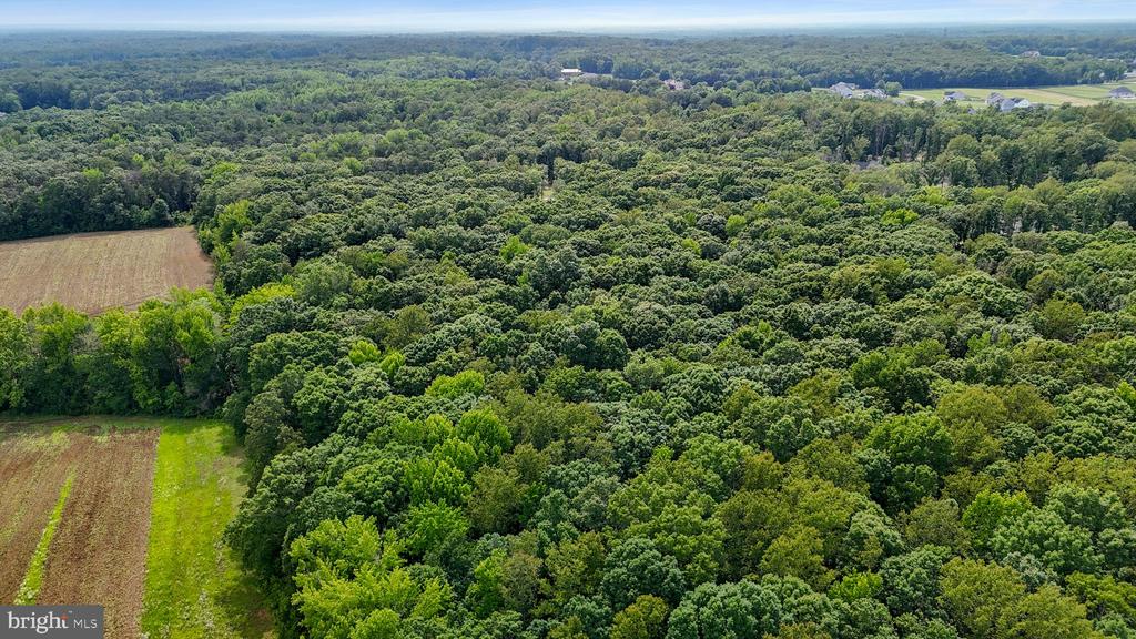 80 SHACKELFORD WELL ROAD