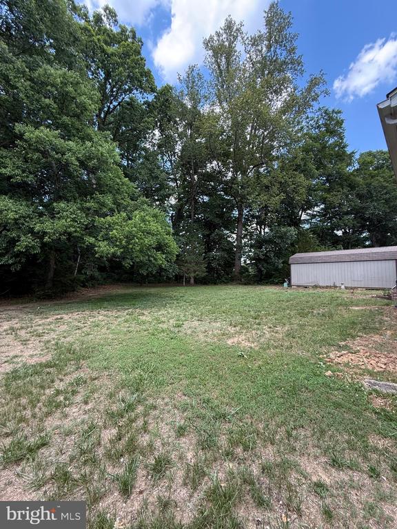 238 BETTY LEWIS DRIVE
