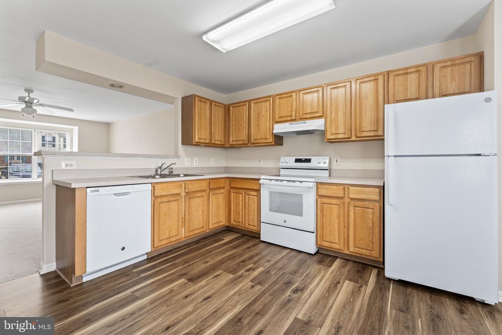 209 ILONA COURT