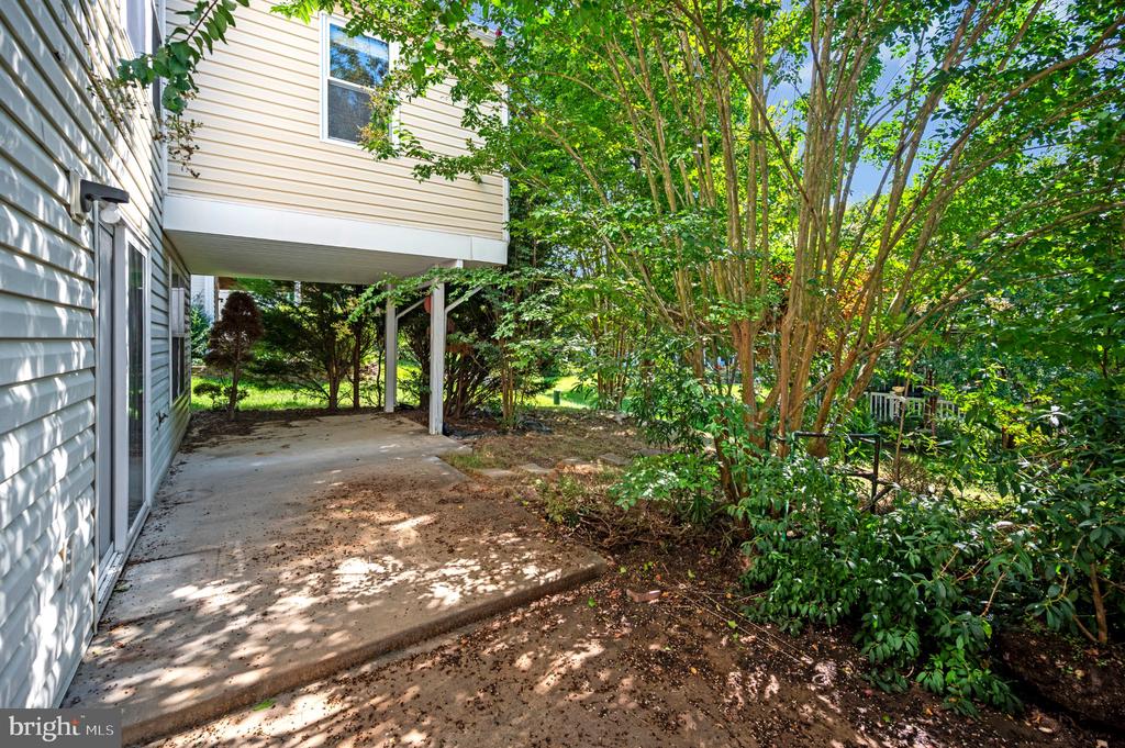 21 BUCHANAN COURT