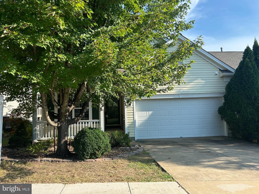 21 BUCHANAN COURT