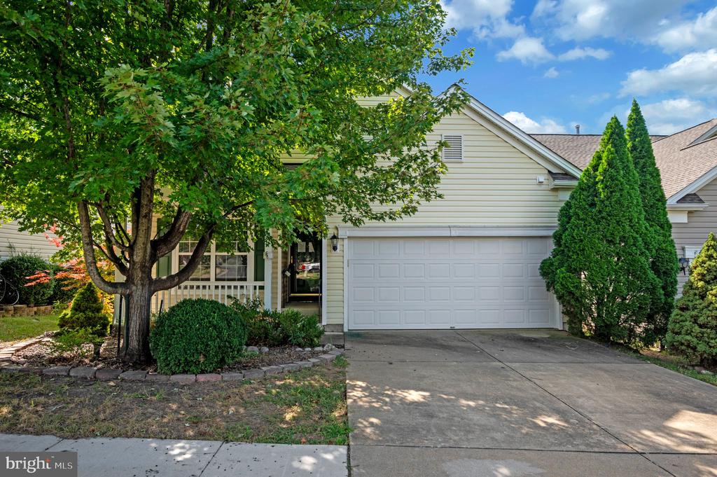 21 BUCHANAN COURT
