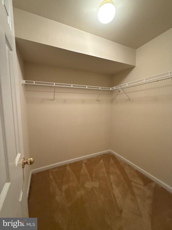 109 PALMER COURT