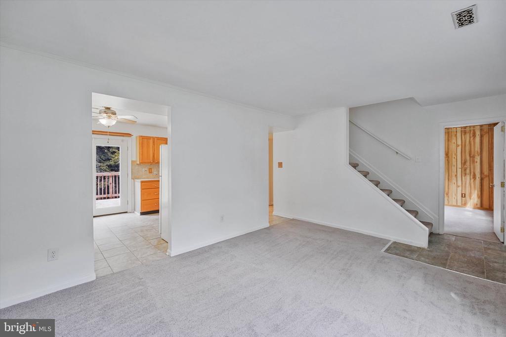 25 WILLOW BRANCH PLACE
