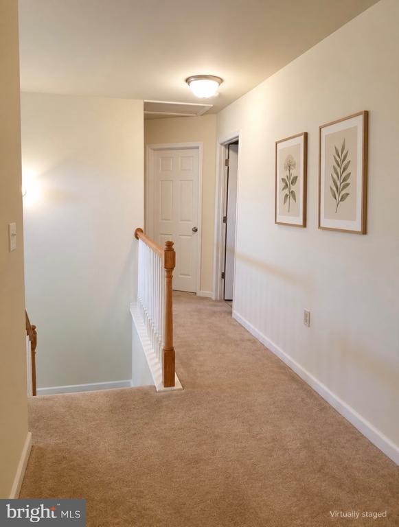 20 SANDY LANE