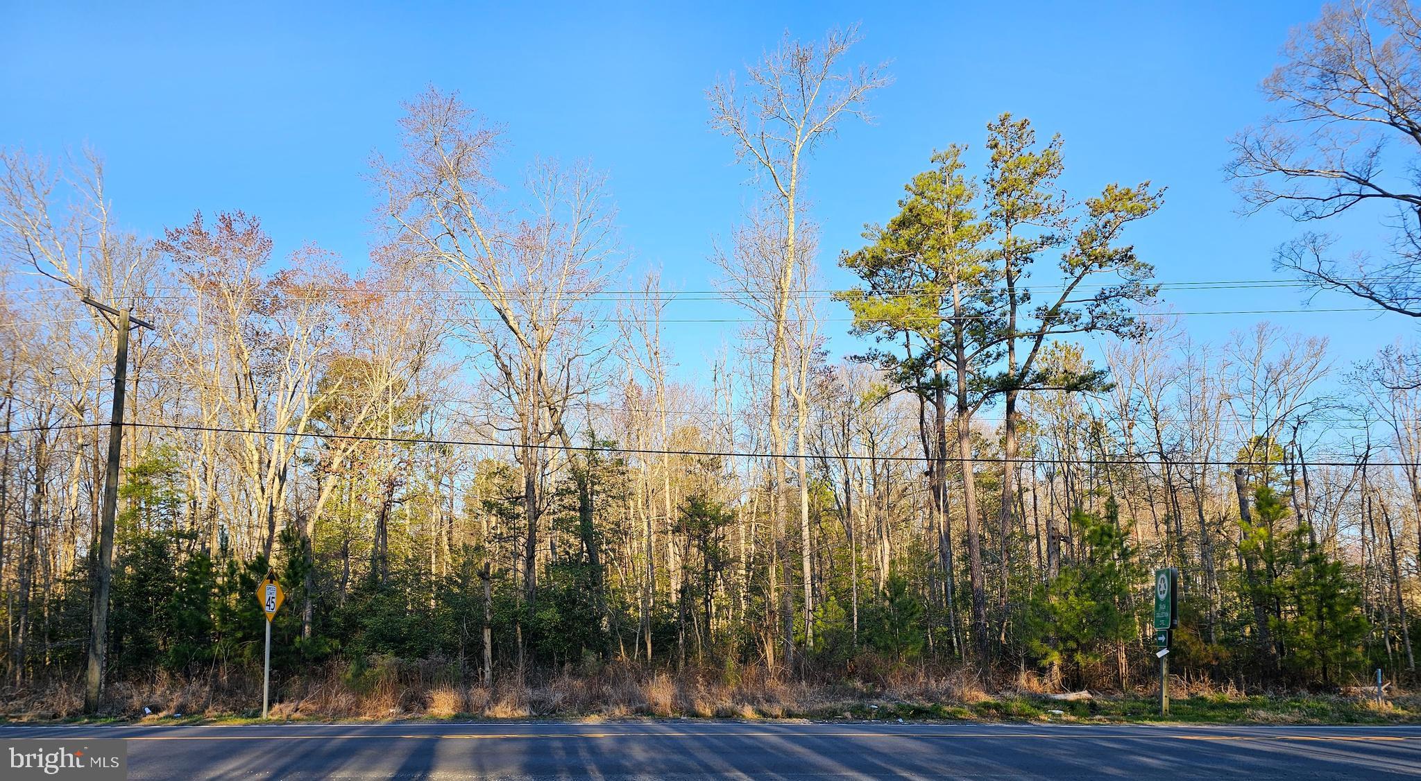 39 (Lot) JAMES MONROE HIGHWAY