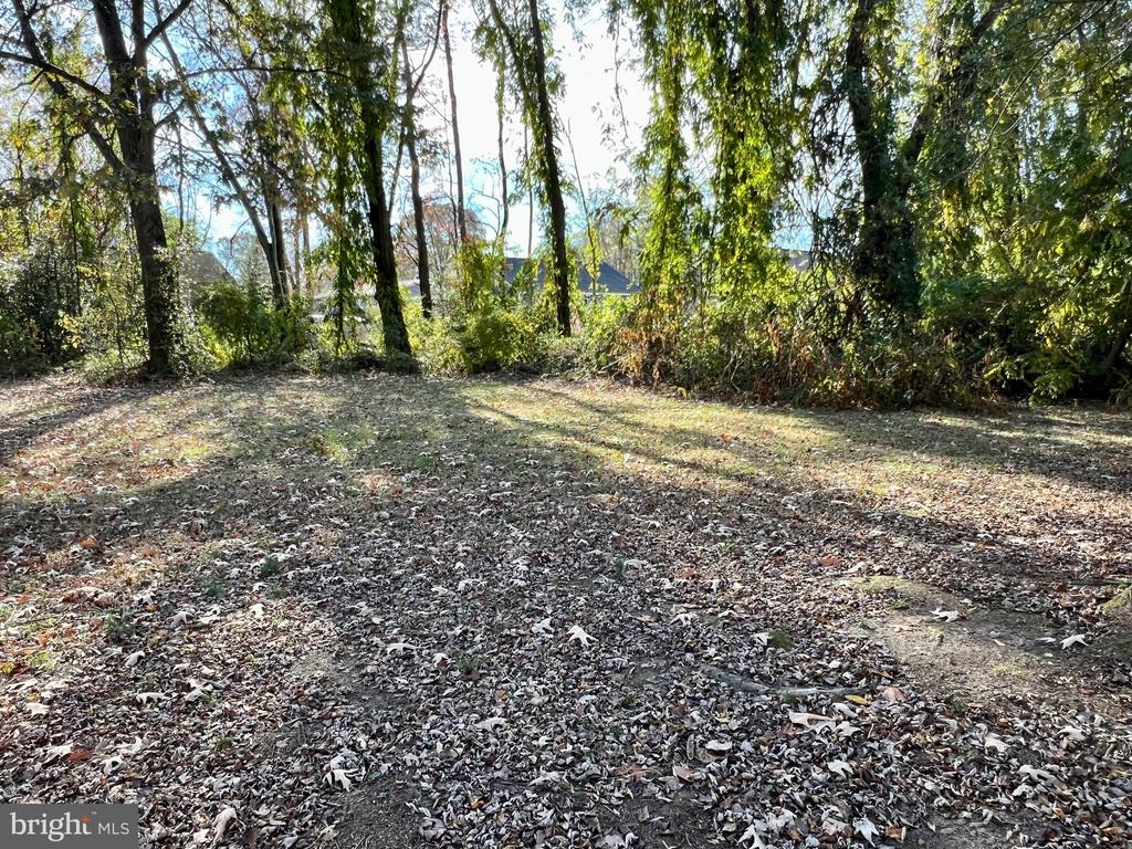 141 MEADOWVIEW LANE