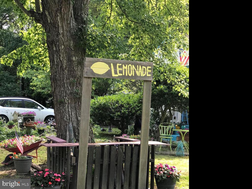 117 LYNNHAVEN COURT