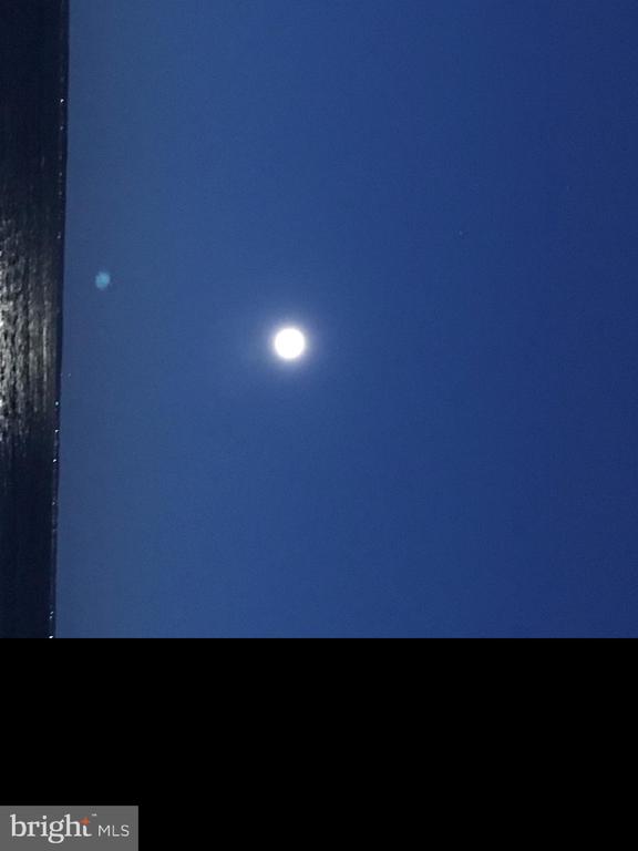 117 LYNNHAVEN COURT