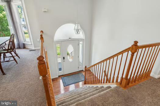 202 FOREST AVENUE