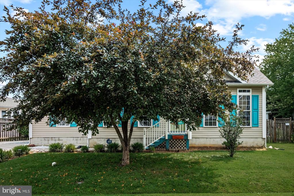 24 BANCROFT AVE.