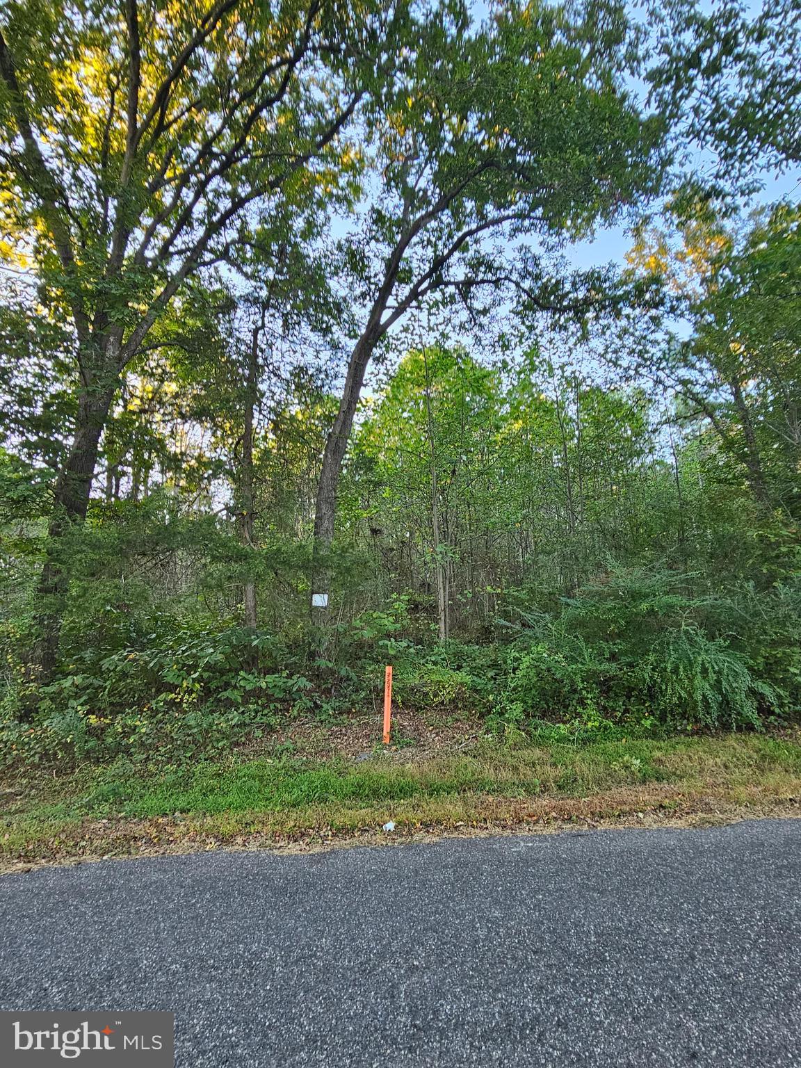 Lot 52 LOWE DRIVE