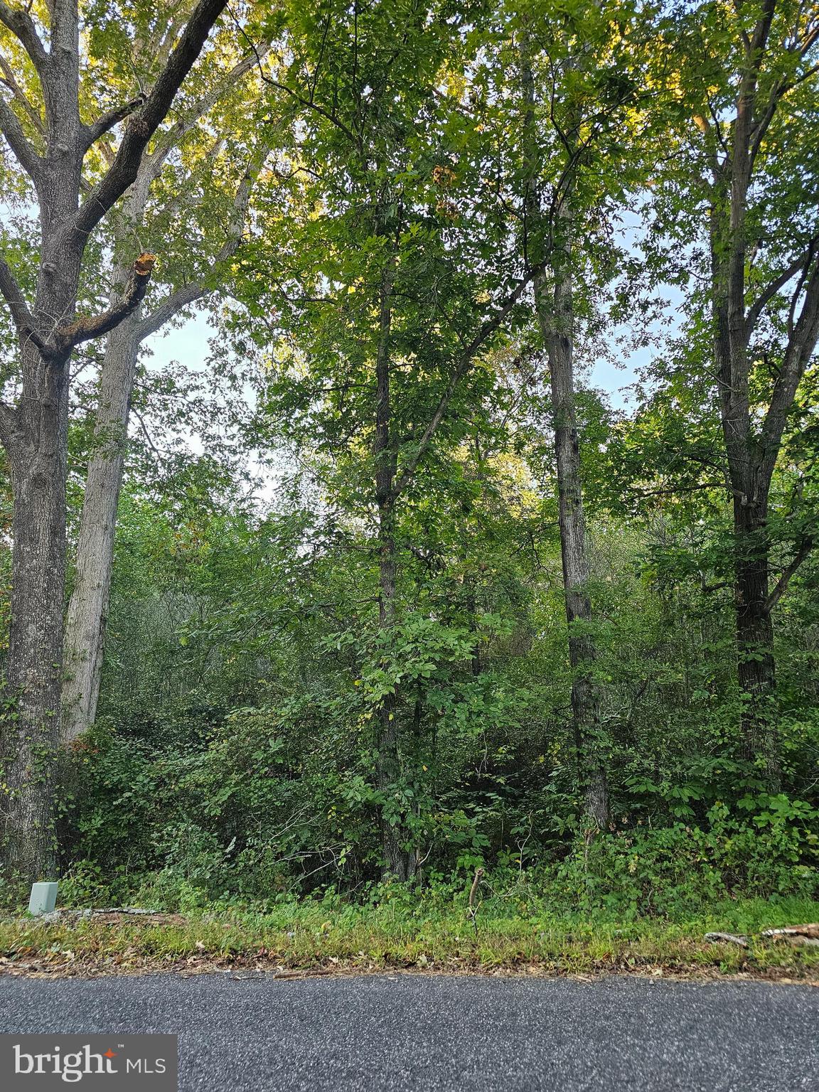 Lot 52 LOWE DRIVE