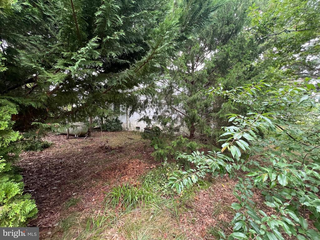 3101 RIVERVIEW DRIVE