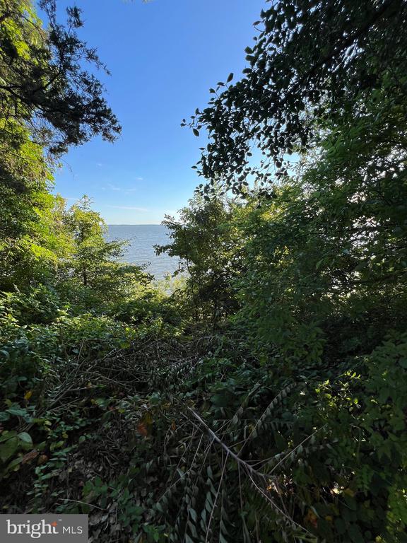3101 RIVERVIEW DRIVE