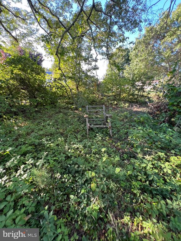 3101 RIVERVIEW DRIVE