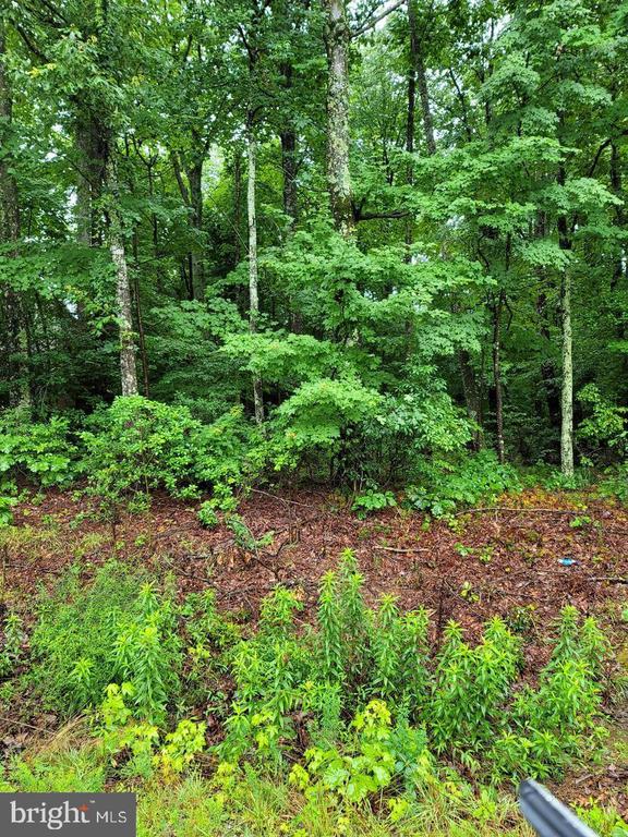 Lot 18 MATILDA LANE