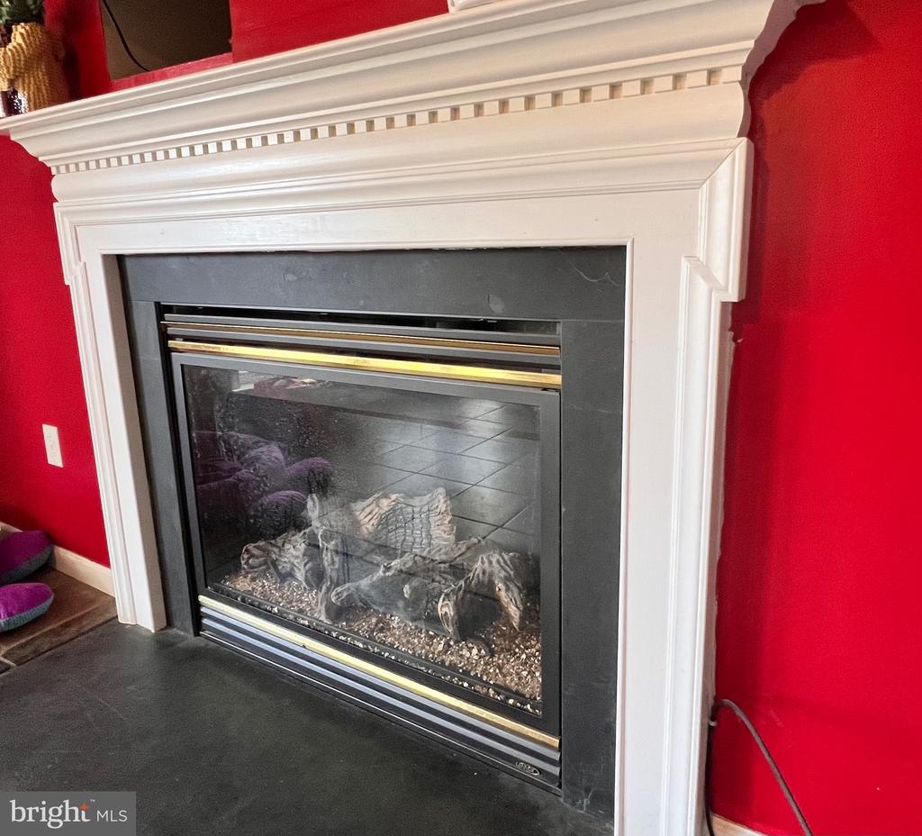 213 FOREST AVENUE