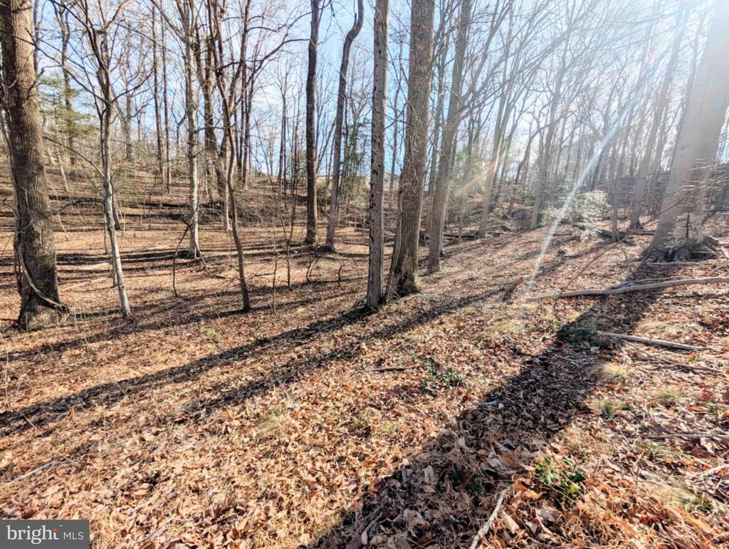 Lot 74 PLANTATION DRIVE