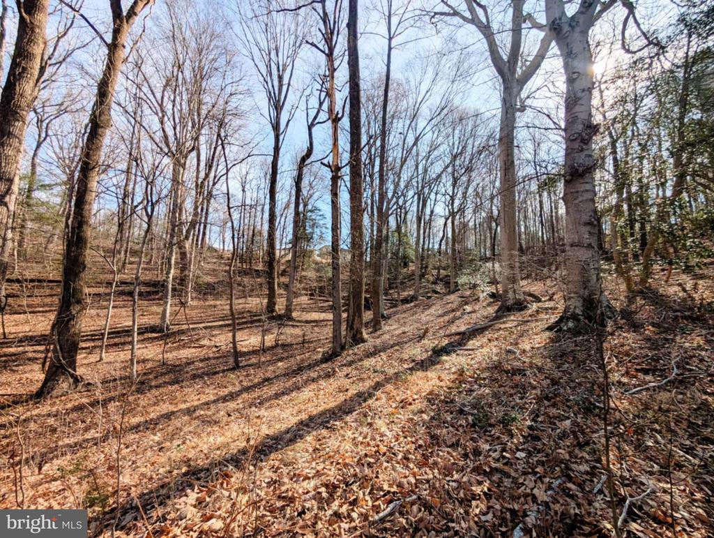 Lot 74 PLANTATION DRIVE