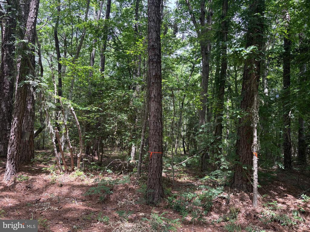 Lot 27 STOTSYLVANIA ROAD