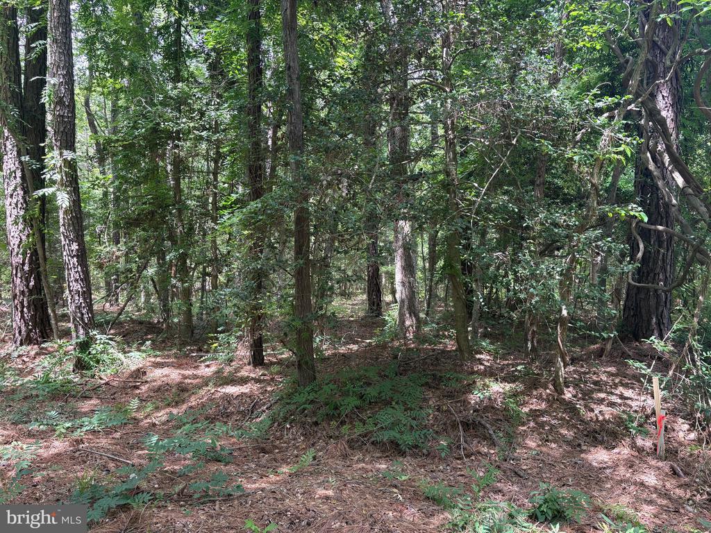 Lot 27 STOTSYLVANIA ROAD