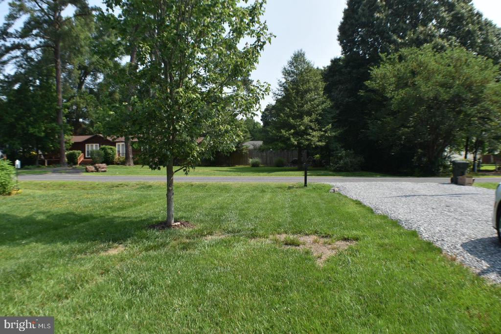 305 CEDAR LANE