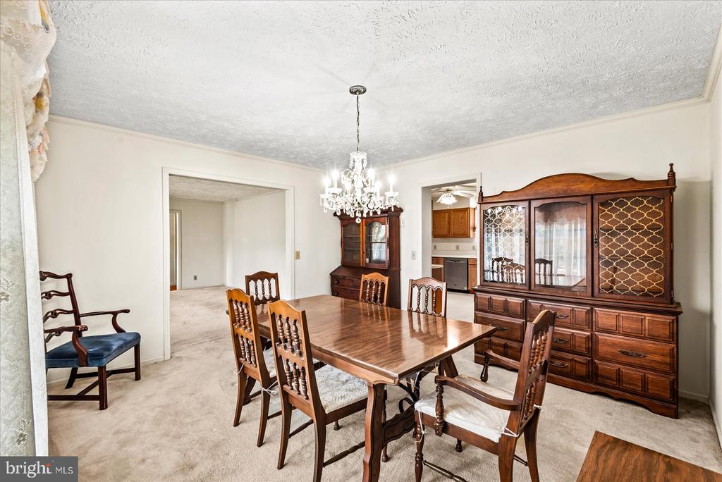 107 BONNIE DEL DRIVE