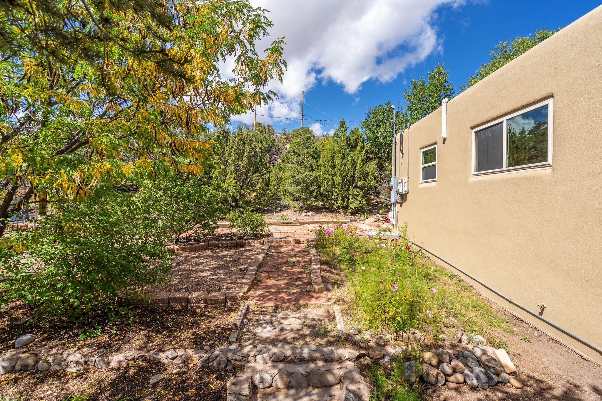 216 Spruce